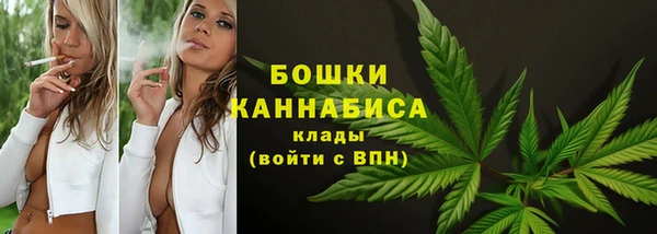 ГАЛЛЮЦИНОГЕННЫЕ ГРИБЫ Липки