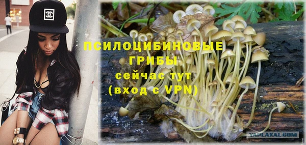 2c-b Лихославль
