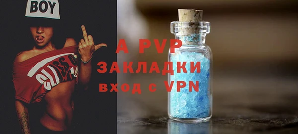 ГАЛЛЮЦИНОГЕННЫЕ ГРИБЫ Липки