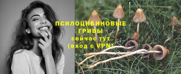 2c-b Лихославль